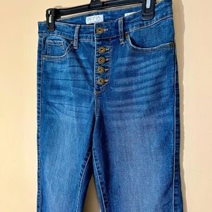 Sophia Vergara Flare Jeans